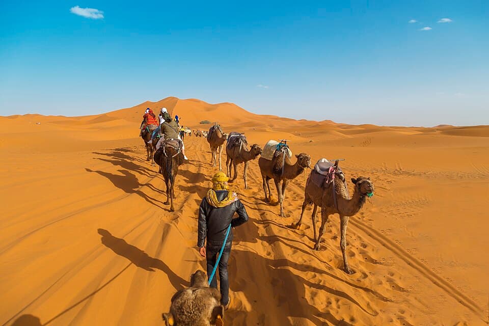 A camel caravan crossing the Sahara at midday