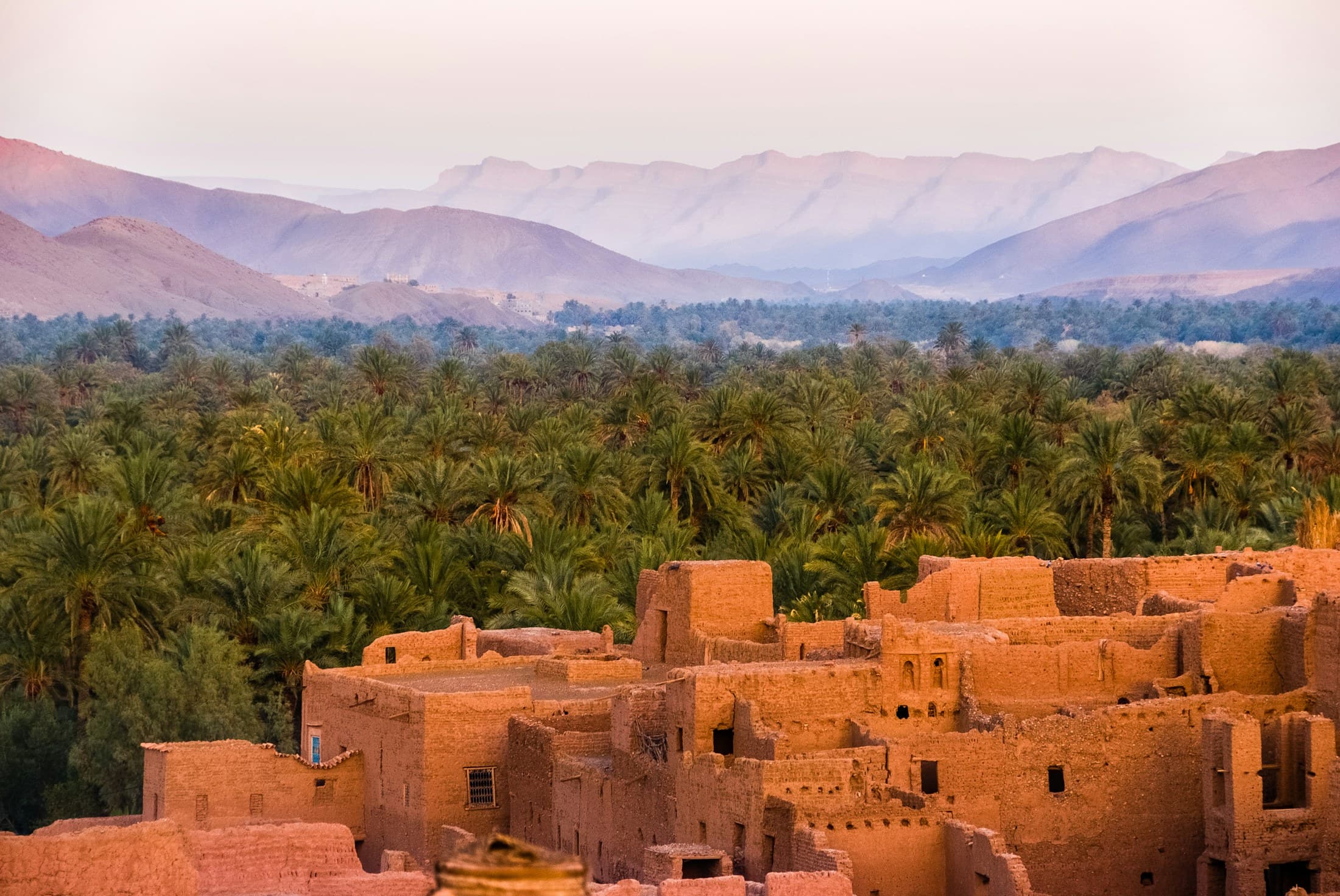 Earthen kasbahs surrounded by a palm oasis in the Draa Valley